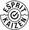 Formation Kaizen - Formation Lean Management