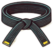 Formation Black Belt - Formation Lean-6Sigma