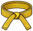 Formation Yellow Belt - Formation Lean-6Sigma