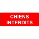 Chiens interdits