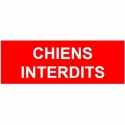 Chiens interdits