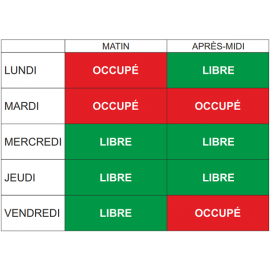 Planning de disponibilité de salle par demi-journée + 10 magnets R/V Libre/Occupé