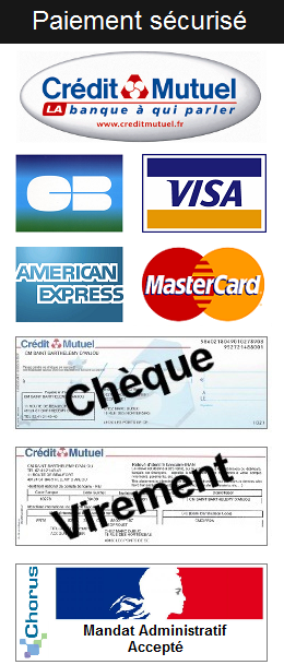Paiement sécurisé American express CB carte bleue Chèque virement mandat administratif chorus
